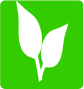 Going Green